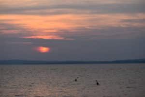 Chesapeake Bay Kayaking at sunset